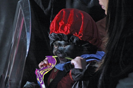 2006SintinWoerden 107